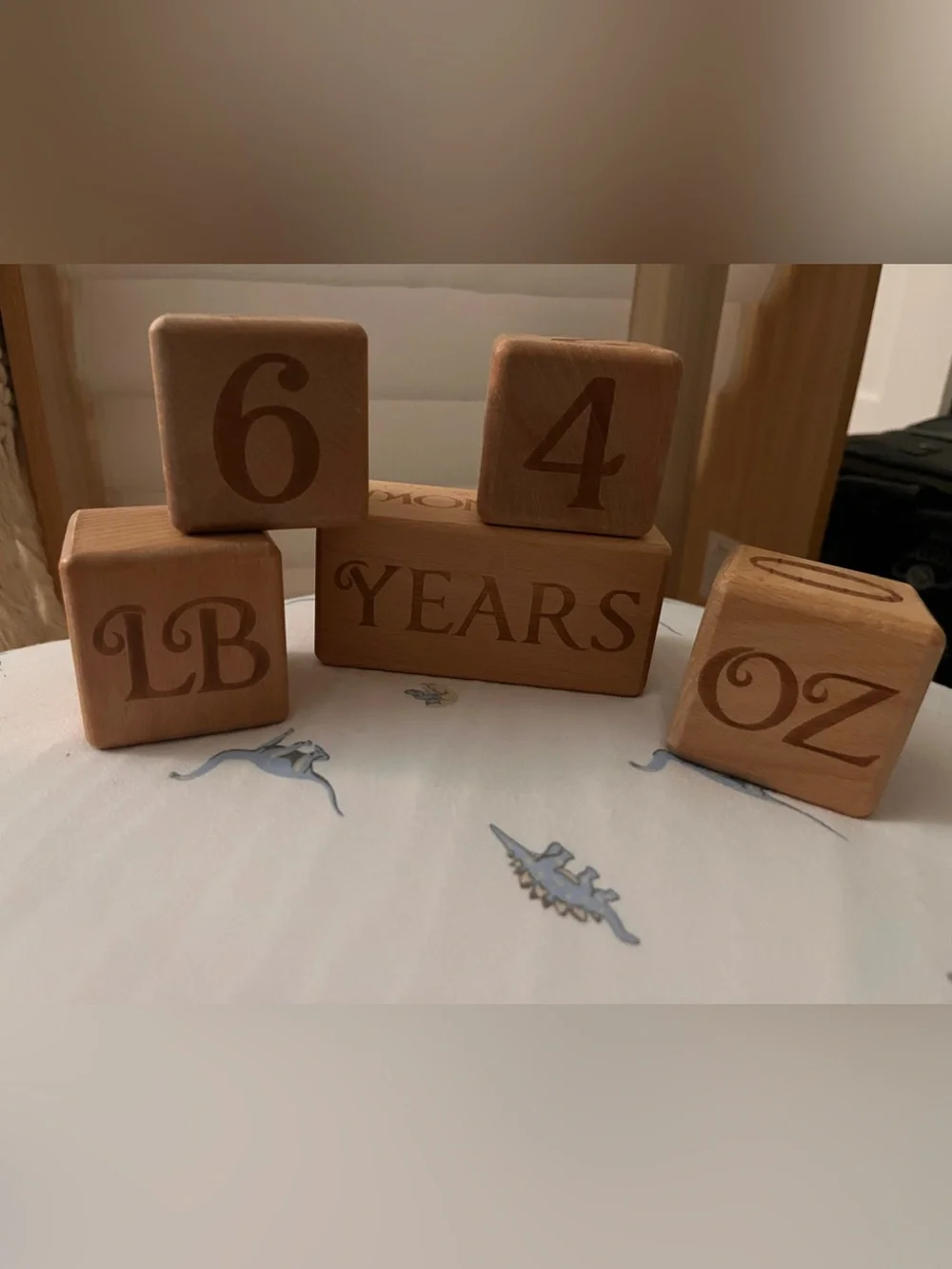 Closet Clean Out – Wooden Baby Milestone Age & Weight Photo Blocks – 5 Piece Set
